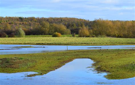 Rspb old moor Adwick Washlands is approximately two miles to the east of RSPB Old Moor and a map with directions can be obtained from the visitor centre at Old Moor